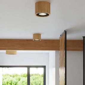 Plafonieră BASIC AR111 1xGU10/40W/230V lemn