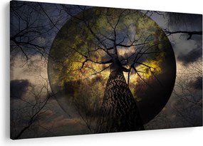 Tablou - Cerul enigmatic (90x60 cm)