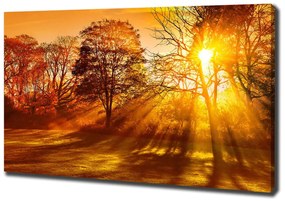 Pictură pe pânză Apus de soare