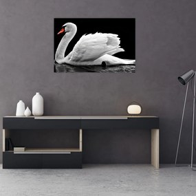 Tablou cu lebăda alb neagră (90x60 cm)