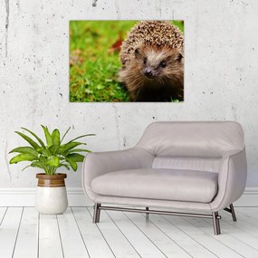 Tablou pe sticlă cu arici (70x50 cm)
