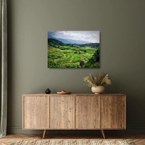Tablou pe sticlă cu câmp de orez (70x50 cm)