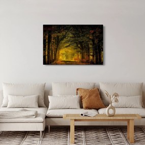 Tablou cu pădure (90x60 cm)