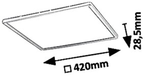 Rabalux 3430 - Plafonieră LED reglabilă PAVEL LED/22W/230V