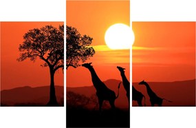 Tablou cu girafe în apus de soare (90x60 cm)