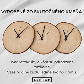 SENTOP | Ceas de perete realizat din trunchi de copac cu scoarță originală | KOTO