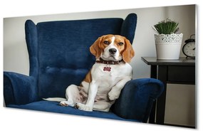 Tablouri acrilice câine ședinței