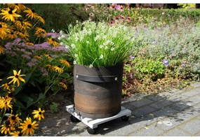 Bază mobilă pentru ghiveci din lemn (înălțime 8 cm) – Esschert Design