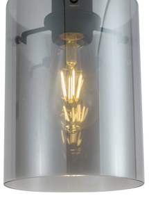 Spot modern negru cu sticlă fumurie pentru sistem de șină monofazat - Iconic Dome