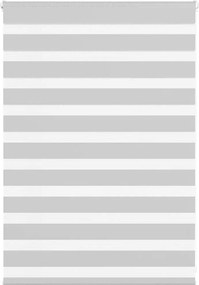 vidaXL Jaluzea tip zebra gri deschis lățime țesătură 100,9cm poliester