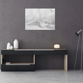 Tablou pe sticlă - Pene (70x50 cm)