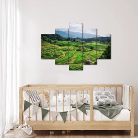Tablou cu câmp de orez (150x105 cm)