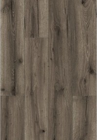 Mexen Sierra Vista probă panouri din vinil SPC 6,5 mm, suport IXPE 1,5 mm, 4 V-Fugă, Stejar - F1004-S