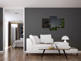 Tablou cu cerul nocturn (90x60 cm)