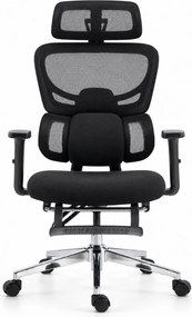 ErgoVanta — Scaun ergonomic, Spătar din Mesh, Suport lombar reglabil, Șezut buretat, Tetieră 2D, Cotiere reglabile, Mecanism cu blocare, Suport pentru picioare retractabil, Negru