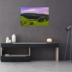 Tablou cu lunca (90x60 cm)