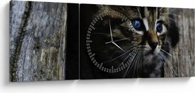Tablou cu pisicuța (cu ceas) (90x30 cm)