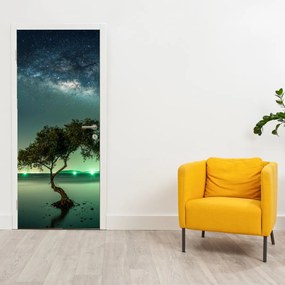 Fototapet pentru ușă - Cer de noapte (95x205cm)