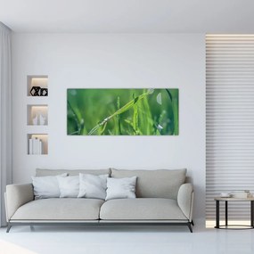 Tablou cu picături de rouă (120x50 cm), în 40 de alte dimensiuni noi