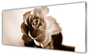 Tablou pe sticla Rose Floral Sepia