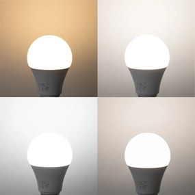 Set 5 becuri Becuri LED inteligente E27 A60 mat RGBW 9W 806lm 2700-6500K