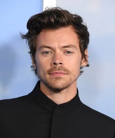 Fotografie Harry Styles at the Premiere Of My Policeman, Steve Granitz