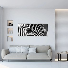 Tablou cu zebră (120x50 cm), în 40 de alte dimensiuni noi