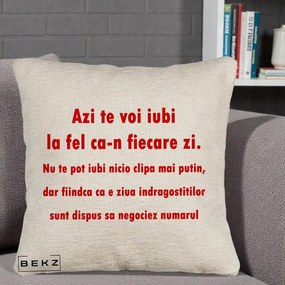 Cadou pentru Iubita - Perna Personalizata Azi Te Voi Iubi, 40x40 cm, Bej Canapea, Husa Detasabila, Perna Inclusa, BEKZ®