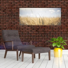 Tablou cu grâne (120x50 cm)