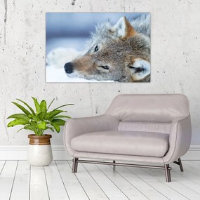 Tablou - Lup (90x60 cm)
