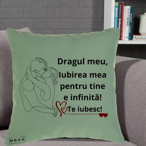 Cadou pentru Iubit - Perna Personalizata Dragul Meu Iubirea Mea pentru Tine e Infinita Te Iubesc, 40x40 cm, Verde, Husa Detasabila, Perna Inclusa, BEKZ®