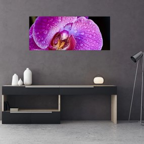 Tablou detailat cu floare de orhidee (120x50 cm), în 40 de alte dimensiuni noi