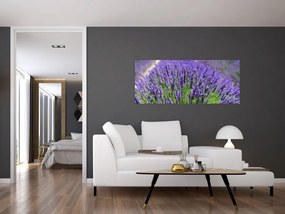 Tablou - lavanda (120x50 cm)