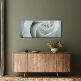 Tablou - Trandafirul alb (120x50 cm)