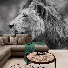 Tapet leul african în design alb-negru