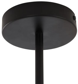 Plafonieră modernă neagră cu sticlă fumurie cu 6 lumini - Ryan