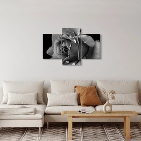 Tablou cu trandafir - albneagră (90x60 cm)