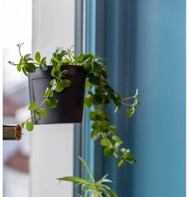 Ghivece 2 buc. din plastic suspendate și de perete ø 10 cm – Esschert Design