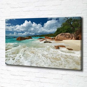 Tablou canvas Plaja seychelles