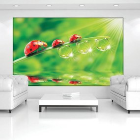 Fototapet - Flori (152,5x104 cm)
