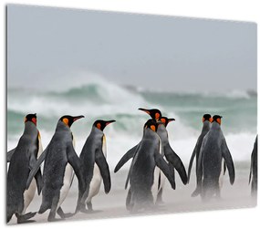 Tablou pe sticlă pinguini în ocean (70x50 cm)