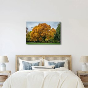 Tablou cu copac (90x60 cm)