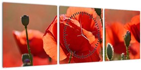 Tablou cu flori de maci (cu ceas) (90x30 cm)