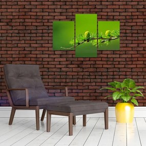 Tablou con verde (90x60 cm)