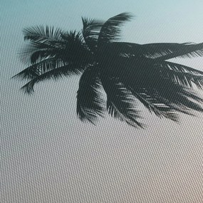 Tablou - Palmier la Bali (70x50 cm)