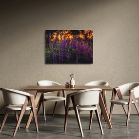 Tablou pe sticlă - Flori de lupin (70x50 cm)