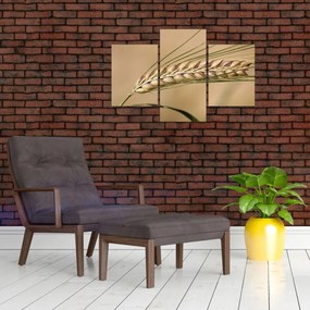 Tablou - Grâu (90x60 cm)