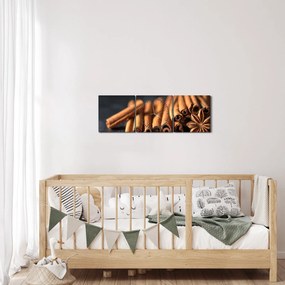 Tablou cu scorțișoară (cu ceas) (90x30 cm)