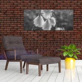 Tablou - Iarba de bumbac (120x50 cm)