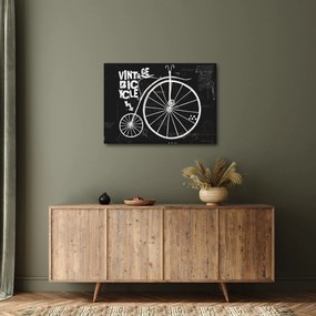 Tablou - Velociped (70x50 cm)
